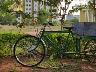 Fototapeta na wymiar bicycle in the garden