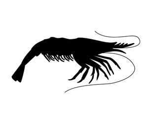 Shrimp - small marine crustacean living underwater - vector silhouette for logo or pictogram. Animal from the ocean - shrimp - silhouette sign for your logo.