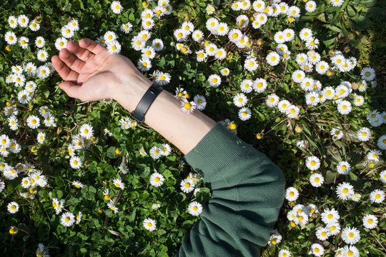 hand in a field of daisies 
