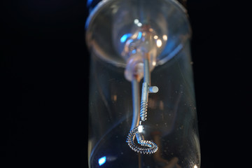 Old lightbulbs in the studio on black background photographed with flash light
