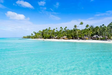 Foto op Canvas Tropisch eiland in de Zuidzee © eyetronic