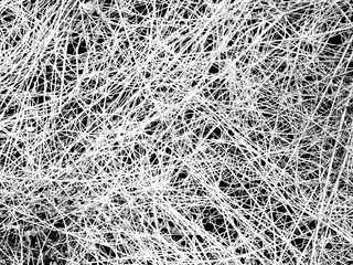  Black and white photo: Dry withered grass.