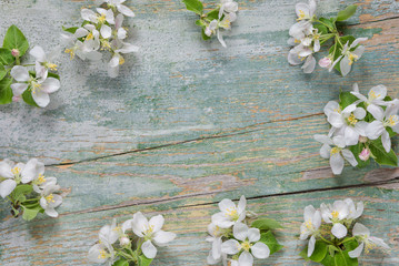 Spring frame of white flowers on blue wooden background