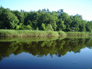 Symmetry of forest and water-11