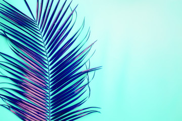 Obraz premium Palm branch on the table