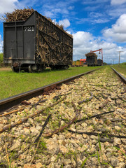 Fototapeta na wymiar Sugar cane loaded train car