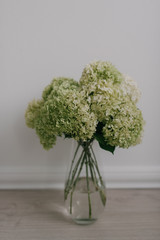  Bouquet of hydrangeas in a vase