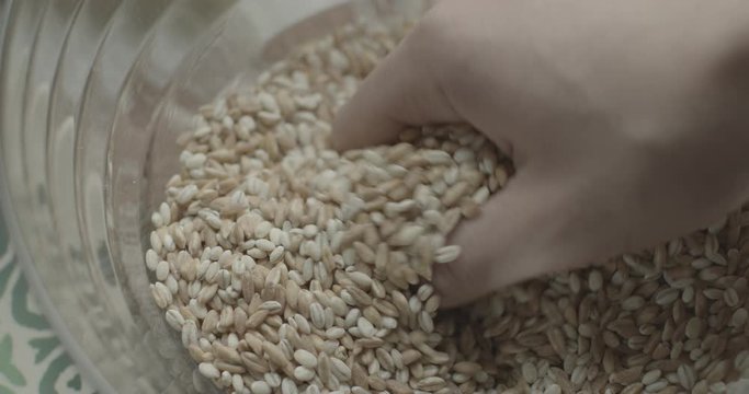 caduta e mani che selezionano orzo e farro