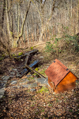 Mountain stream in deciduous forest, Siatorska Bukovina, Slovakia