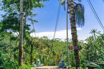 Fototapeta premium Swing in the jungle in Bali. A tourist spot with swings at the rice terraces of Tegalang. Tropical trees, palm trees , and bamboo thickets.