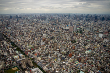 Tokyo City
