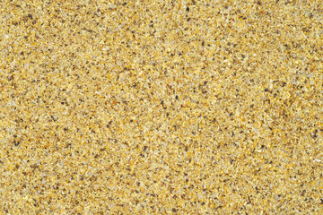 Mix of spices .Food background