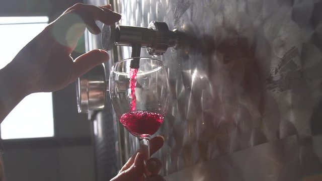 Winemaker poring the wine, barrels of wine. Slow motion