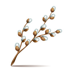 Spring twigs easter blossom pussy willow tree © tassel78