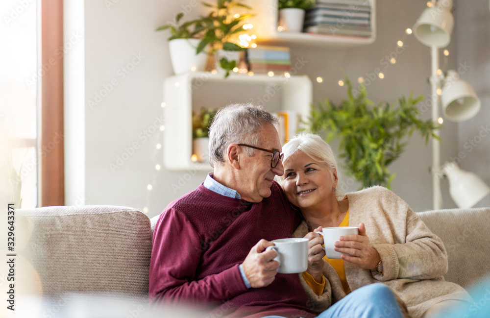 Canvas Prints portrait of a happy senior couple relaxing together at home