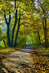 Obraz premium rural road