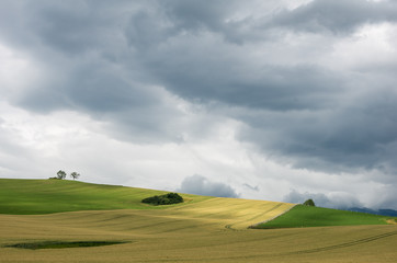 Obraz premium Landscape with wheat field and stormy sky