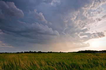Building storm clouds over a Midwest prairie on a summer afternoon.