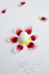 white easter eggs and flower petals on a white background