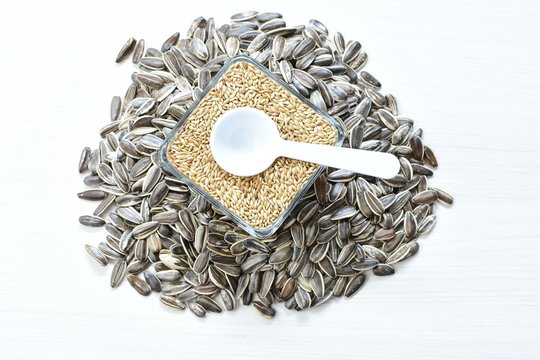 Birdseed and natural sunflower seeds, food for birds, displayed in containers on white wooden background