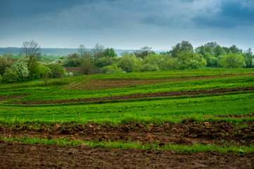 Fototapeta na wymiar landscapes of farmland, arable land and green grass in the outskirts of the village