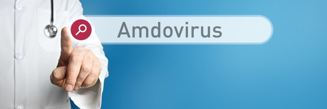 Amdovirus. Doctor in smock points with his finger to a search box. The word Amdovirus is in focus. Symbol for illness, health, medicine