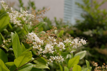 Stop and smell the flowers.