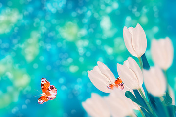 Bright colorful spring flowers. butterfly