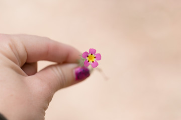 Stop and smell the flowers.