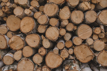 A lot of firewood, round cuts of wood. Pile of firewood. Wall of firewood.