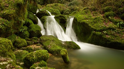 Der kleine Wasserfall im mystischem Wald