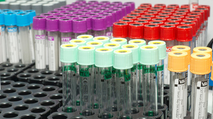 Fototapeta premium Test tubes in the laboratory