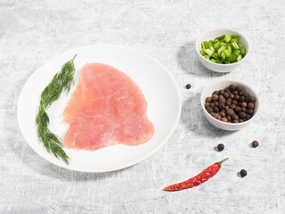 Sliced pieces of meat turkey game filet on white ceramic plate, allspice, fennel, red chili pepper, green onion on concrete background. Healthy eating concept