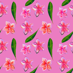 Frangipani Plumeria Tropical watercolor Flowers. Seamless Pattern pink background. Tropical floral summer seamless pattern background with plumeria flowers with green leaves