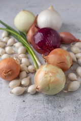 Varieties of Onion Grouped Together on Cement Countertop
