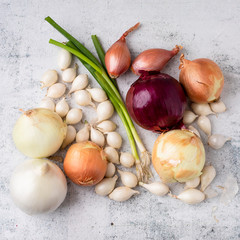 Varieties of Onion Grouped Together on Cement Countertop
