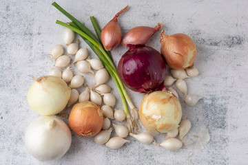 Varieties of Onion Grouped Together on Cement Countertop