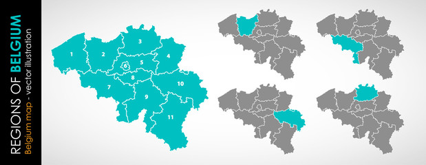 Color vector map of Belgium with administrative divisions 