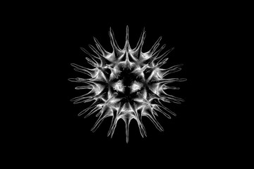 Fototapeta premium Virus (COVID-19) isolated on a black in 3D rendering. A dangerous non-cellular infectious agent that can only reproduce inside living cells and causes flu epidemics. 