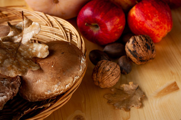 Autumn colors. Forest mushrooms, red apples, pumpkin, oak leaves, some nuts in a warm shade. Autumn forest harvest.