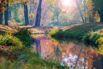 Park Mużakowski, jesień, kolorowe liscie, tło, bad Muskau, trees, autumn, leaves, long exposure time - obrazy, fototapety, plakaty