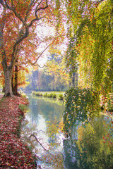 Park Mużakowski, jesień, kolorowe liscie, tło, bad Muskau, trees, autumn, leaves, long exposure time
