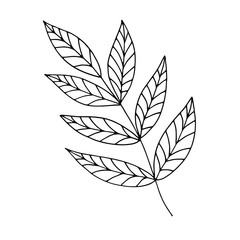 Branch with leaves hand-drawing outline doodle. Suitable for postcards, prints. Stock vector illustration.