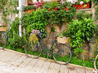 Fototapeta na wymiar Bicicleta antigua rodeada de flores en una imagen primaveral en Riaño, viaje de vacaciones