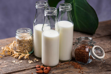 Lactose free nondairy buckwheat milk