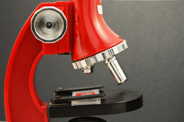 Red Microscope Closeup