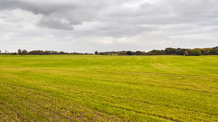 Fototapeta na wymiar Amazing green field panoramic landscape. Beautiful nature panorama. Agriculture. 