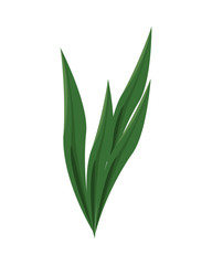 ecology leafs foliage nature icon