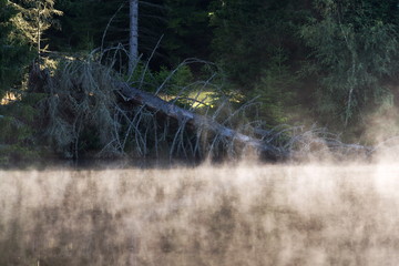 Morning haze over surface of the Pohorsky pond know as Jiricka reservoir near Pohorska Ves,...