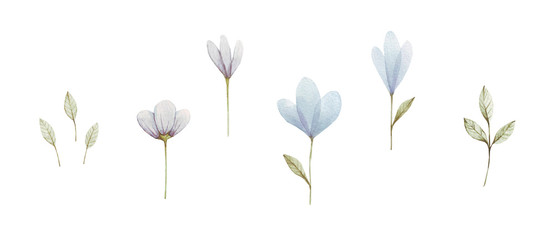 Ensemble aquarelle bleu de quatre fleurs peintes à la main. Les fleurs peuvent être utilisées comme élément dans la conception de cartes d& 39 invitation, de mariage ou de voeux.